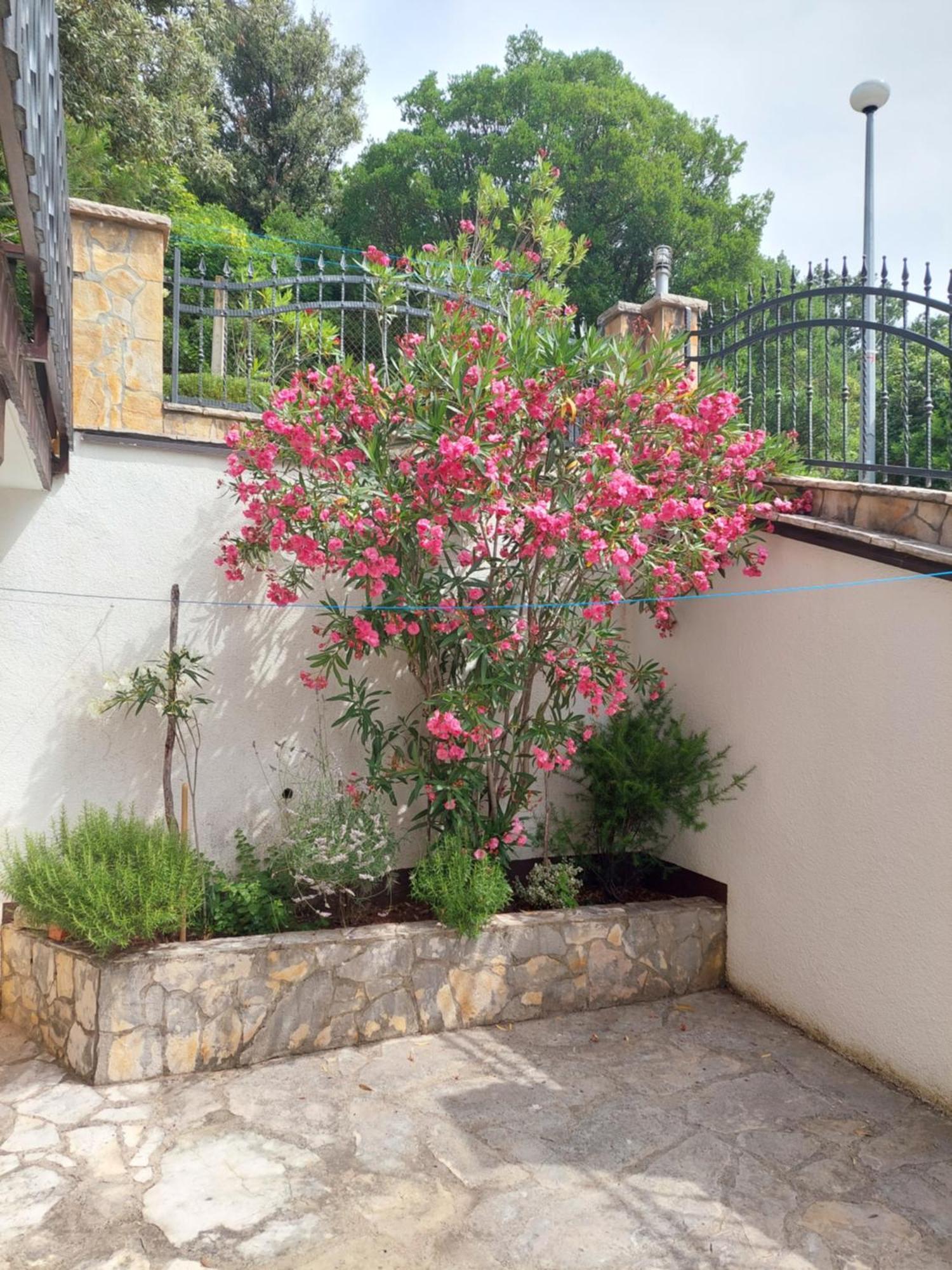 Apartments Delfin Posedarje Dış mekan fotoğraf
