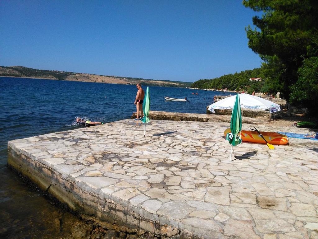 Apartments Delfin Posedarje Dış mekan fotoğraf