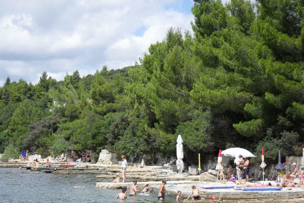 Apartments Delfin Posedarje Dış mekan fotoğraf